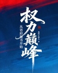 权力巅峰：从省府秘书开始